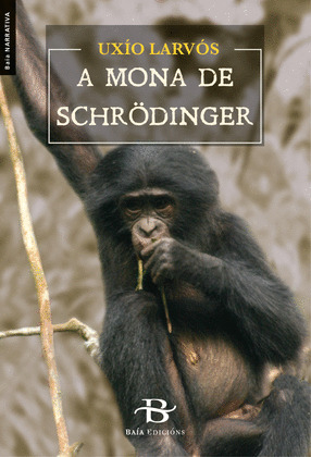 MONA DE SCHRÖDINGER, A