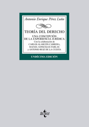 TEORÍA DEL DERECHO: UNA CONCEPCION DE LA EXPERIENCIA JURIDICA (11ª EDICION)