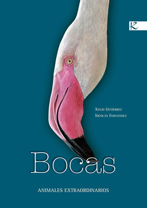 BOCAS
