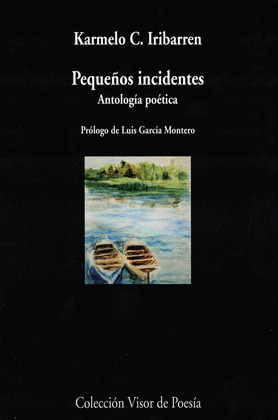 PEQUEÑOS INCIDENTES. ANTOLOGIA POETICA