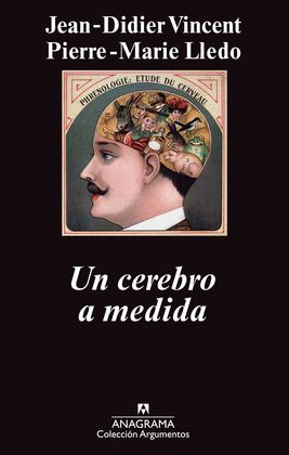 CEREBRO A MEDIDA, UN