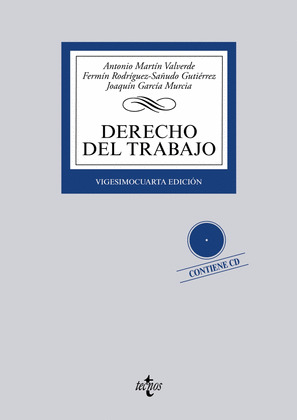 DERECHO DEL TRABAJO (24ª EDICIÓN, 2015)