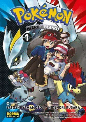POKÉMON 31 NEGRO Y BLANCO II 01