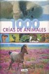 COLECCIÓN 1000