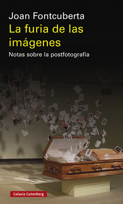 FURIA DE LAS IMÁGENES, LA
