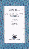 PENAS DEL JOVEN WERTHER, LAS