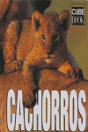 CACHORROS
