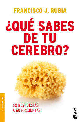 ¿QUE SABES DE TU CEREBRO?