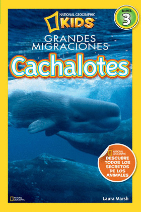 CACHALOTES (GRANDES MIGRACIONES)