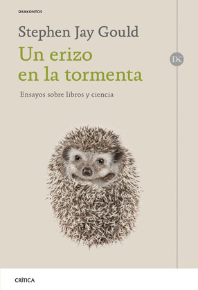 ERIZO EN LA TORMENTA, UN