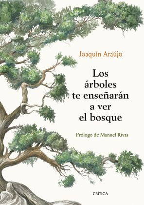 ÁRBOLES TE ENSEÑARÁN A VER EL BOSQUE, LOS