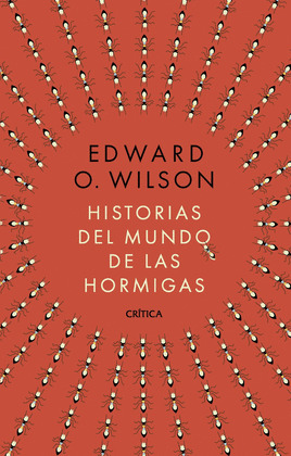 HISTORIA DEL MUNDO DE LAS HORMIGAS