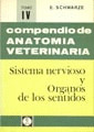 COMPENDIO ANATOMIA VETERINARIA V. ANATOMIA DE LAS AVES
