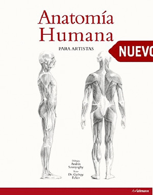 ANATOMIA HUMANA PARA ARTISTAS