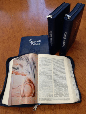 SAGRADA BIBLIA. VERSION OFICIAL DE LA CONFERENCIA EPISCOPAL ESPAÑOLA (ED. POPULA