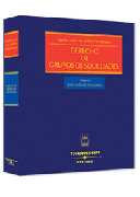 DERECHO GRUPOS SOCIEDADES