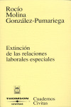 EXTINCION DE LAS RELACIONES LABORABLES ESPECIALES