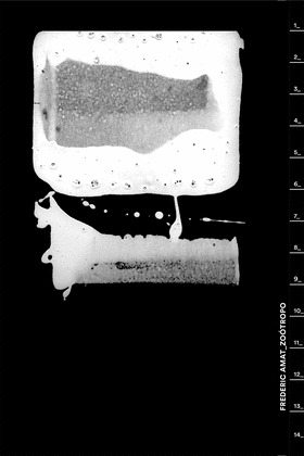 FREDERIC AMAT ZOÓTROPO