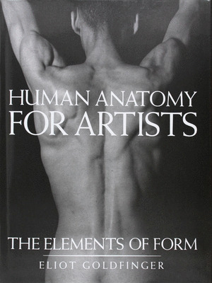 HUMAN ANATOMY FOR ARTISTS
