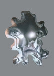 MIRADA PENSANTE = THINKING GAZE