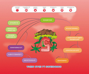 NIVEL 3. EXPLORA CICLO. PROYECTO 2