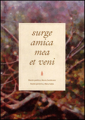 MERY SALES, SURGE AMICA MEA ET VENI