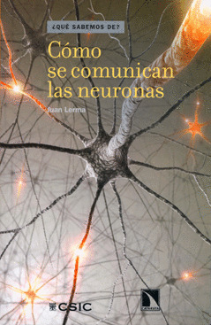 COMO FUNCIONAN LAS NEURONAS