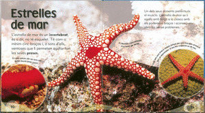 BERNAT ERMITA I ALTRES CRIATURES