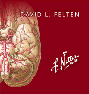 NETTER FLASHCARDS DE NEUROCIENCIA