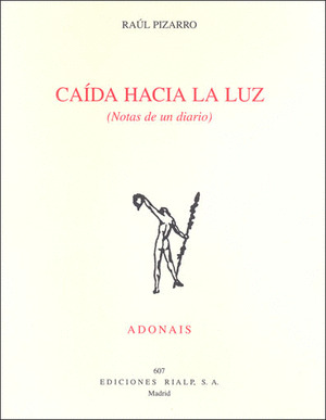 CAIDA HACIA LA LUZ