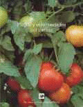 PLAGAS Y ENFERMEDADES DEL TOMATE