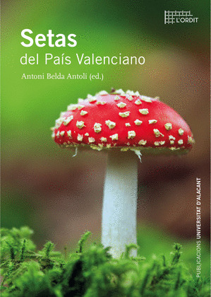 SETAS DEL PAIS VALENCIANO