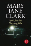 FS8 SPIEL BIS DER VORHANG
