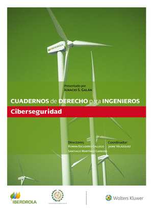 CUADERNOS DE DERECHO PARA INGENIEROS (N.º 39)