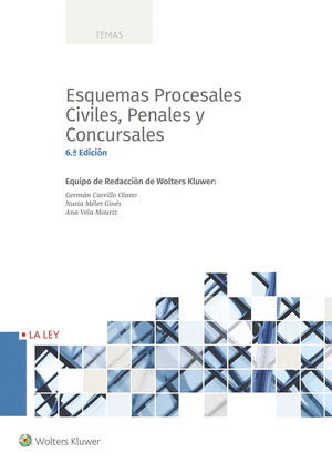 ESQUEMAS PROCESALES CIVILES, PENALES Y CONCURSALES (6.ª EDICION)
