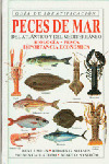 PECES DE MAR DEL ATLÁNTICO Y DEL MEDITERRÁNEO: GUÍA DE IDENTIFICACIÓN