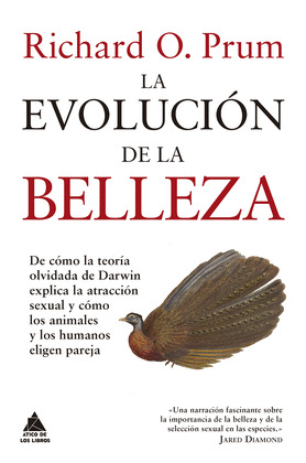 EVOLUCION DE LA BELLEZA, LA