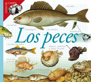 PECES, LOS