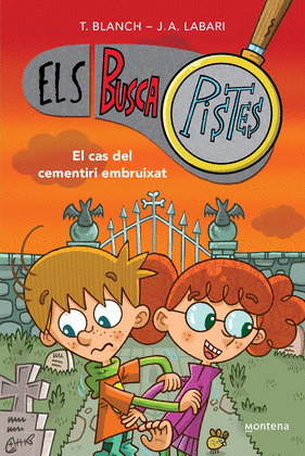 EL CAS DEL CEMENTIRI EMBRUIXAT