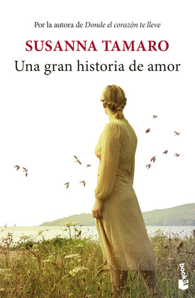 GRAN HISTORIA DE AMOR, UNA