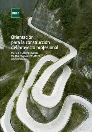 ORIENTACION PARA LA CONSTRUCCION DEL PROYECTO PROFESIONAL
