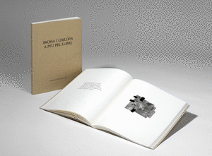 CAT A PEU PEL LLIBRE BROSSA CHILLIDA