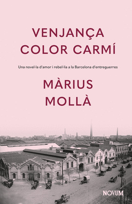 VENJANÇA COLOR CARMÍ