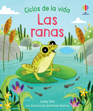 RANAS, LAS (CICLOS DE LA VIDA)