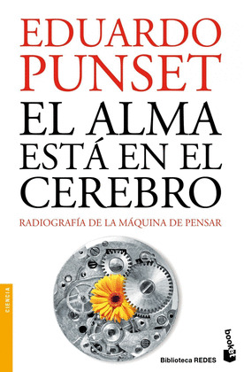 EL ALMA ESTA EN EL CEREBRO