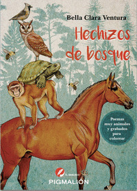 HECHIZOS DE BOSQUE