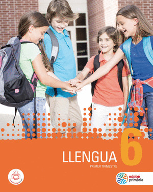 LLENGUA 6