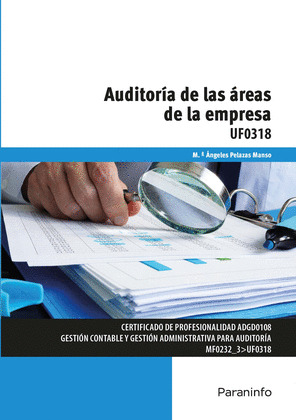 AUDITORIA DE LAS AREAS DE LA EMPRESA