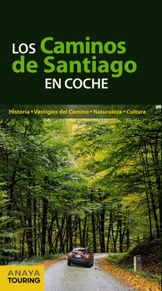 CAMINOS DE SANTIAGO EN COCHE, LOS