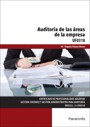 AUDITORÍA DE LAS ÁREAS DE LA EMPRESA